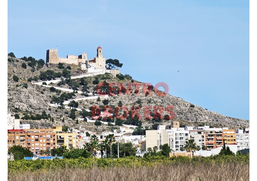 Ziemia rolna - grunt rolny w Cullera, Walencja
